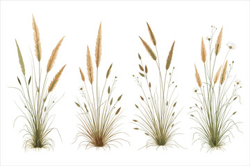 Grass Vector Clipart Bundle for Designs

