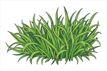 Grass Vector Clipart Bundle for Designs
