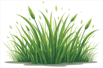Grass Vector Clipart Bundle for Designs
