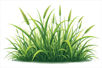 Grass Vector Clipart Bundle for Designs
