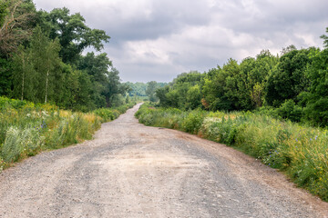 Rural dirt road surrounded by green vegetation and wildflowers under cloudy sky.