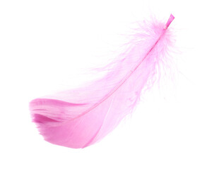 One fluffy pink feather isolated on white