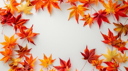 Obraz premium orange maple leaf frame