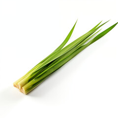 Fresh Pandan Leaves Bundle Isolated on White Background