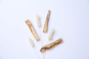 Palo santo sticks and dry spikes on white background, flat lay