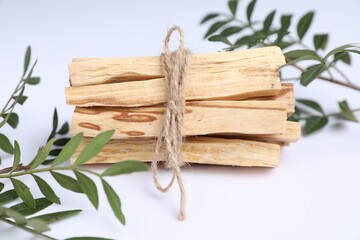 Bunch of palo santo sticks and green branches on white background, closeup