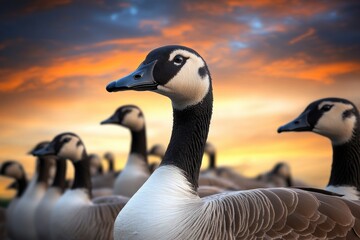 Obraz premium A group of ducks standing together, possibly waiting or moving as one