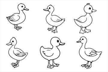 cute duck vector 