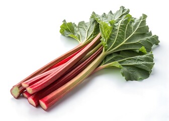 bunch of red radish isolated on white