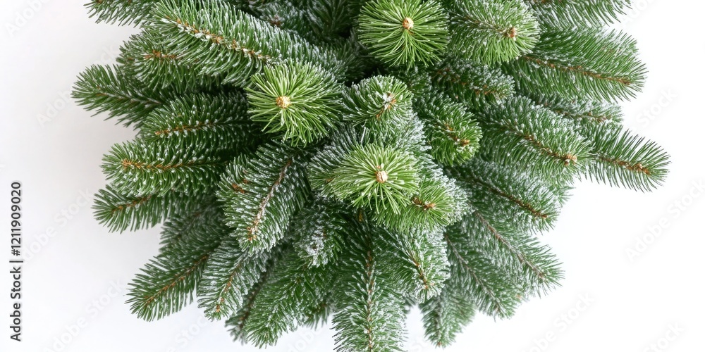 Poster A close up view of a pine tree trunk on a white background