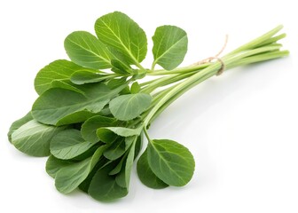 Obraz premium bunch of fresh herbs