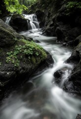 Serene forest waterfall with flowing stream and lush greenery in tranquil natural setting