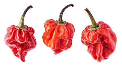 Red Chili Peppers on Transparent Background Generative AI