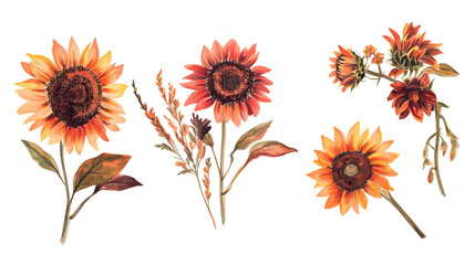 Retro Sunflower Collection on Clear Background Generative AI