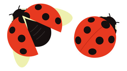 シンプルなてんとう虫