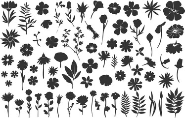 "Flower and Leaf Silhouette Collection: Hand-Drawn Black & White Floral Elements