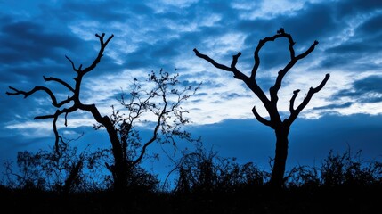 Silhouetted Trees Against Dramatic Cloudy Night Sky in a Serene Landscape Setting