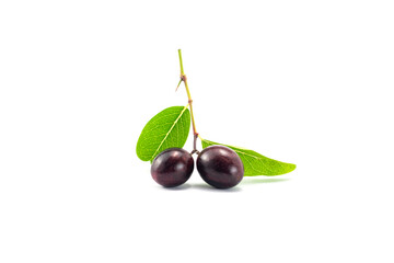 Cherries on a white background, Group of fresh ripe bengal-currants (Carandas-plum, Karanda) with green leaves, thorns and branch isolated on white background close up stack