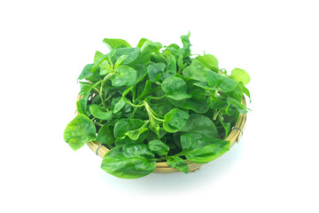 Heap of fresh watercress or yellowcress (Nasturtium officinale) in a basket isolated on white background close up stack, green salad