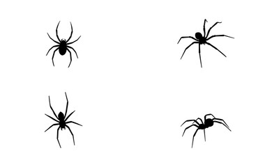 Spider silhouette set vector in black and white