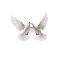 Obraz premium Two White Doves in Flight, Kissing