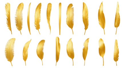 Golden Feathers on Gold Background Luxury Design