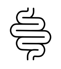 vector illustration of human intestines on a white background