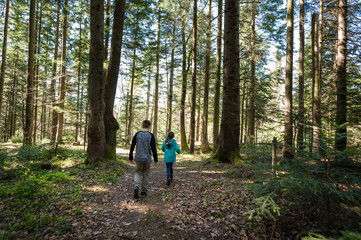 Obraz premium Siblings explore a forest trail, sunlight filtering through tall trees. A peaceful scene of childhood adventure in nature's embrace.