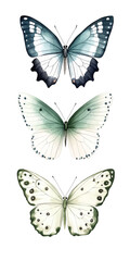 Obraz premium Three butterflies Isolated on Transparent Background