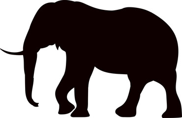 silhouette elephant walking on white background, vector