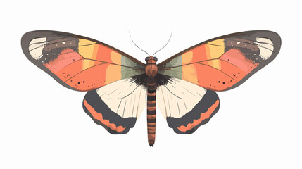 Colorful Wide Angle Butterfly Rainbow Photo with Centered Composition