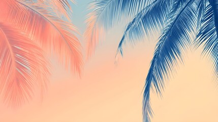Obraz premium refreshing summer banner, beach palms, minimalistic, rose orange blue tones, light