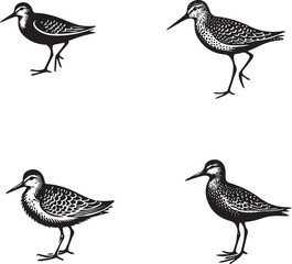 High-Quality Monochrome Vector Silhouettes of the Upland Sandpiper Isolated on a White Background