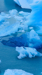 Vertical image of close-up of dark blue pieces of ice floating in the water. Los Glaciares National Park, Argentina