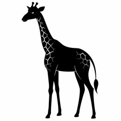 Obraz premium giraffe cartoon isolated on white