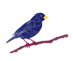 bird on a branch