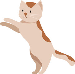 Cute kitten raising paws, playful cat standing on hind legs, adorable pet in playful pose