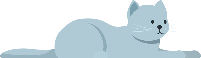 Cute grey british shorthair cat lying on the floor