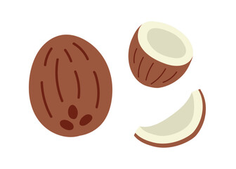 Coconut half and whole fruit flat style vector set