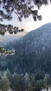 A frosty winter hike to Tomasovsky view, a stunning rock formation offering breathtaking vistas in Slovensky Raj National Park, Slovakia