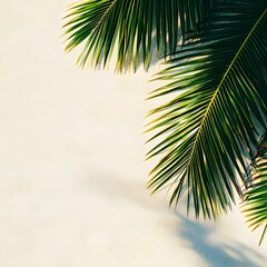 Fototapeta premium palm tree leaves on the side on the beach, clean, minimal on a large bright empty surface