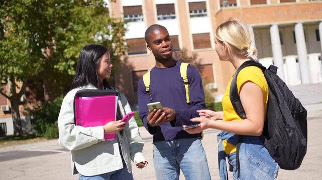 Distracted multi-ethnic students chatting at the entrance of the university