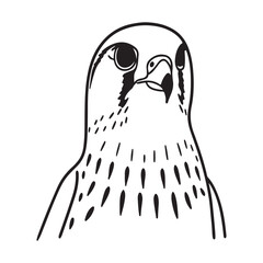 Kestrel - Agile and Graceful Bird of Prey