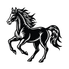 horse vactor illustration