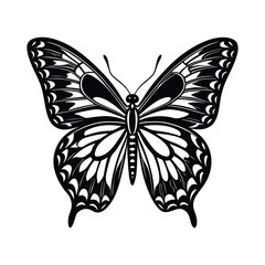 butterfly vactor illustration