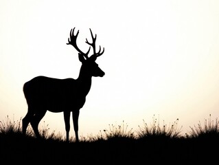 Majestic White Deer in Sunlight