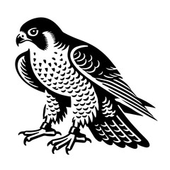 Fototapeta premium Peregrine Falcon Illustration.