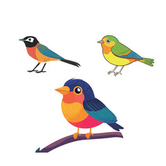 Obraz premium Vector of a Colorful Bird – Vibrant and Lively Design of a Tropical or Exotic Bird with Bright Colors, Perfect for Nature, Wildlife, and Artistic Illustrations