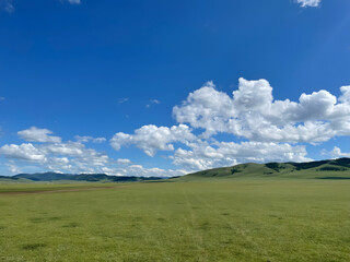 Mongolia's intricate and lush green landscapes