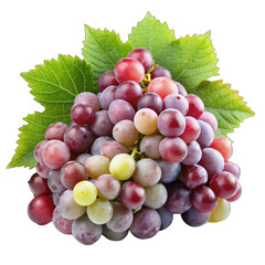 Fototapeta premium Fresh Red Grapes with Green Leaves Bunch Healthy Food vine wine ripe diet farm fruit sweet juicy 
